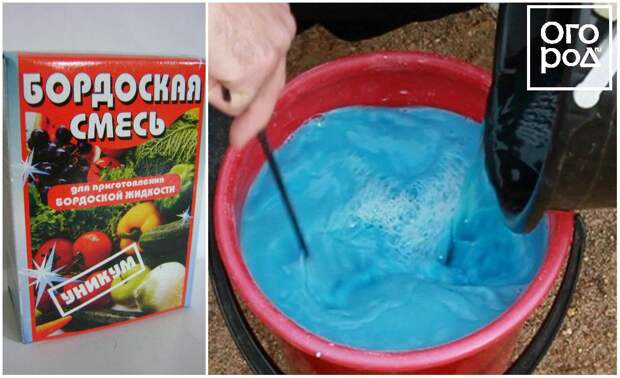 Приготовление бордоской жидкости