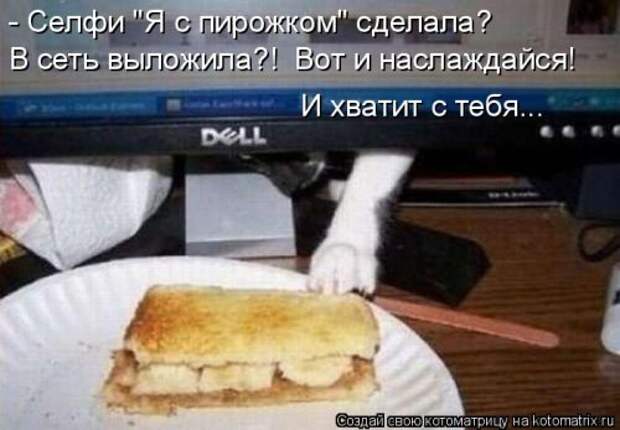 Лучшая котоматрица недели