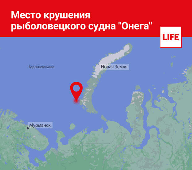 Инфографика © LIFE