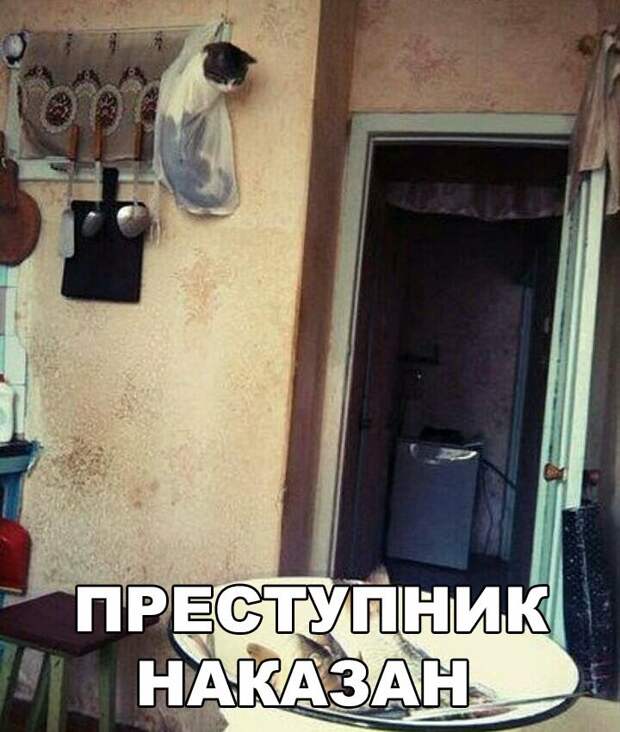 Свежие картинки с надписями для настроения (12 фото) Свежие картинки с надписями для настроения (12 фото)
