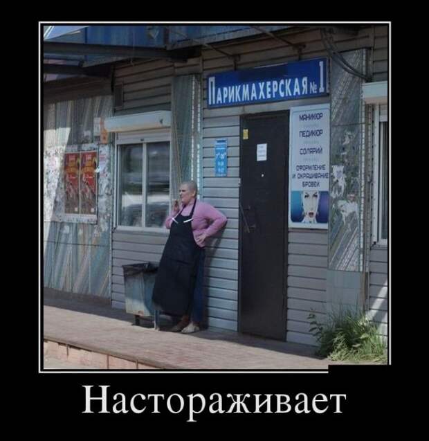 Демотиваторы (30 фото)