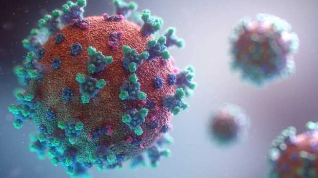 Штамм коронавируса «Омикрон» обнаружен почти во всех российских регионах