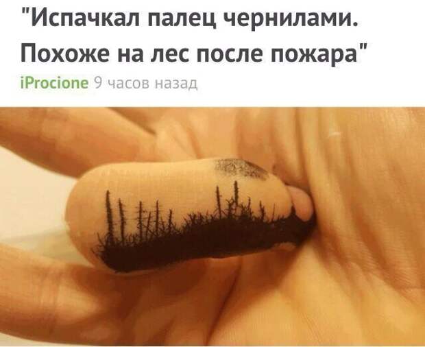 Смешные картинки с надписями прикол, юмор