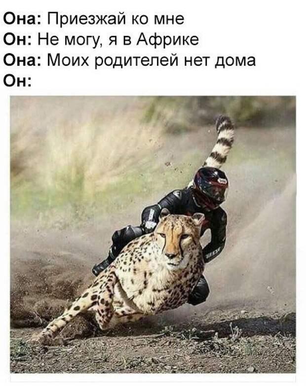 Новые фотомемы (22 шт)