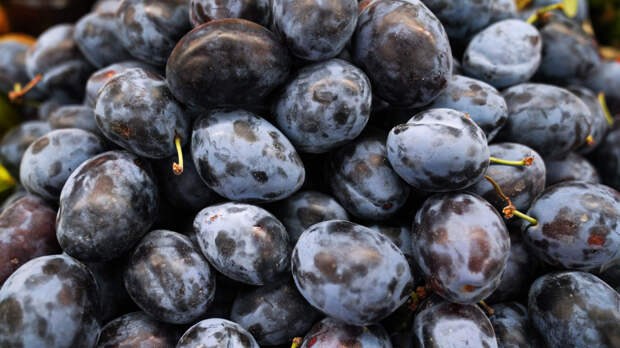 Чернослив признали мощным средством для укрепления костей и защиты от рака