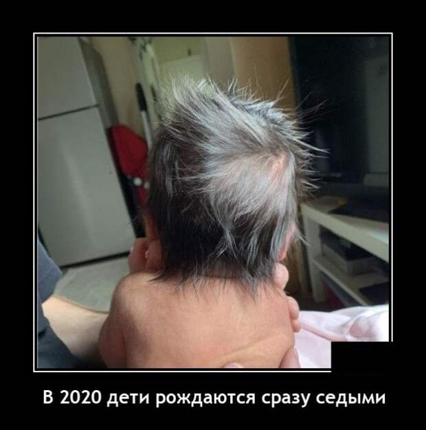 demotivatory-demotivator-smeshnye-demotivatory-demotivator-so-smyslom