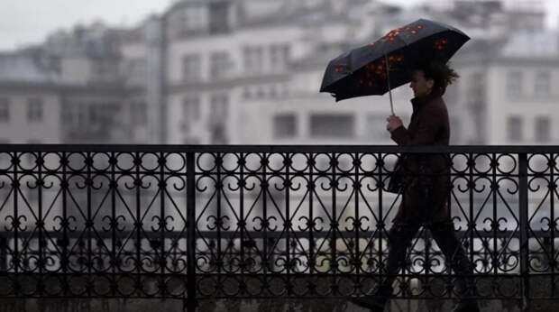 Синоптик Вильфанд заявил, что москвичей ожидает опасная погода