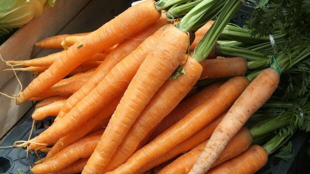 Морковь убивает печень, фасоль – почки, а личи вообще до комы доведут: Список опасных овощей и фруктов