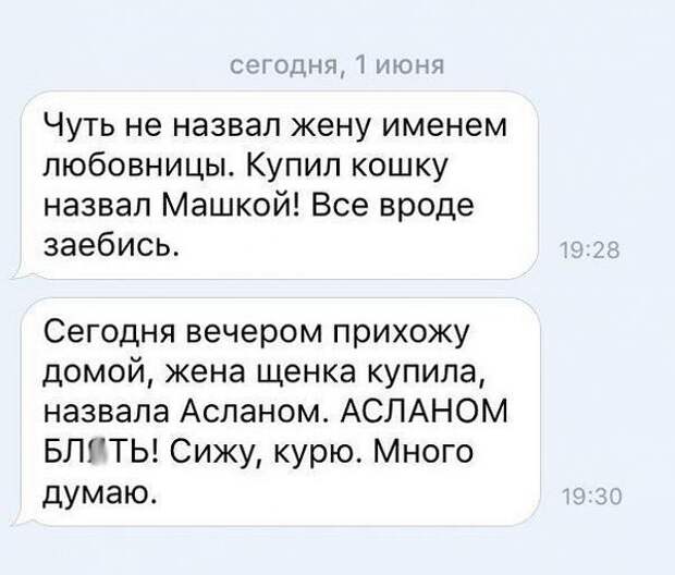 Смешное в картинках