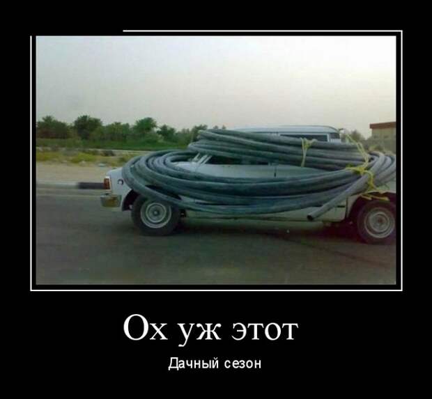 Демотиваторы (30 фото)