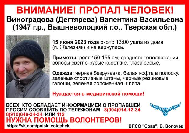 В Тверской области разыскивают пенсионерку в зеленой соломенной шляпе
