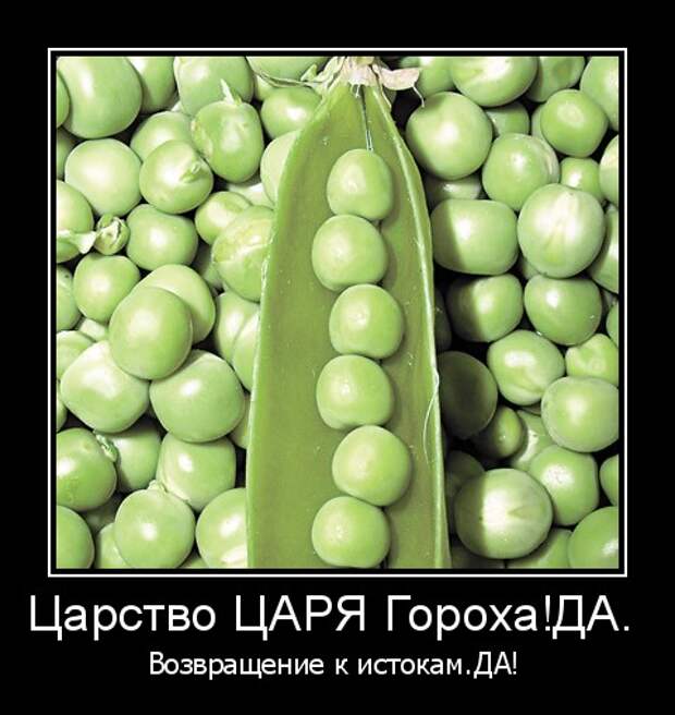 волшебный горох. горошек зеленый семена. горох жегаловец. горошек. горох.