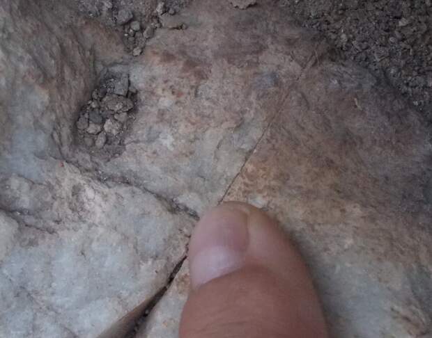 личный архив