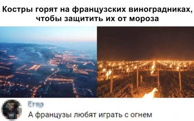 Перлы из социальных сетей на самые актуальные темы Перлы из социальных сетей на самые актуальные темы