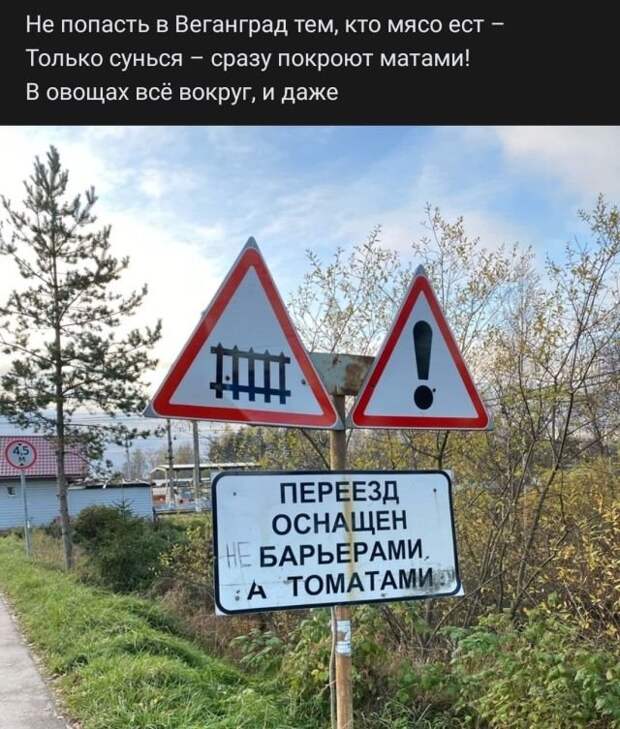 стих про томаты