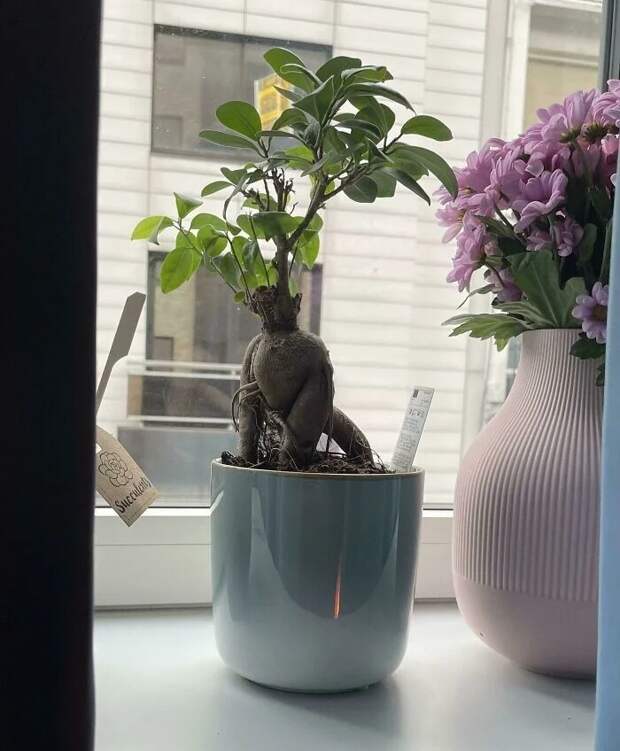 Bigpicture ru без названия 2022 10 10t092138.362