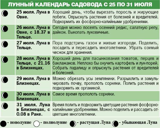 Лунный календарь садовода