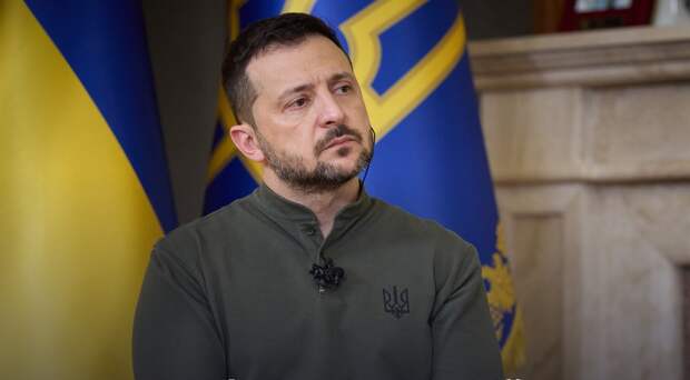 Сенатор от ДНР призвала Зеленского спуститься на землю