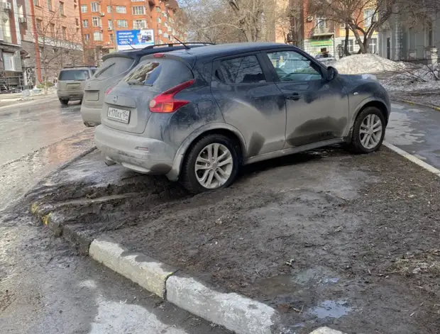 НГС раскрыл причину пыли — Новосибирск атаковали толпы истребителей газонов (смотрите где)