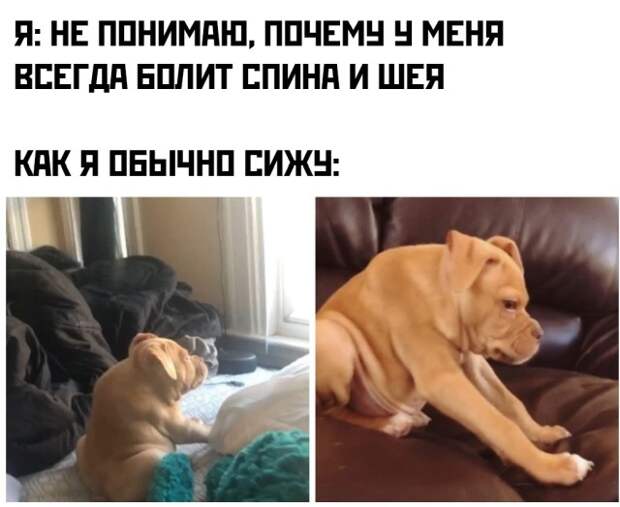 Смешные картинки вечер 11 июня