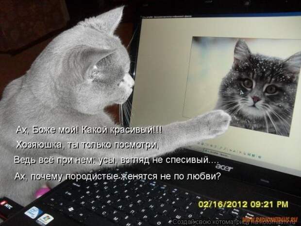 Уфф!!! Ну наконец-то! Котоматрицы великолепные, каждая с улыбкой и хорошим настроением!