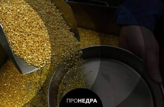 Шведская Kopy Goldfields увеличила производство золота в России