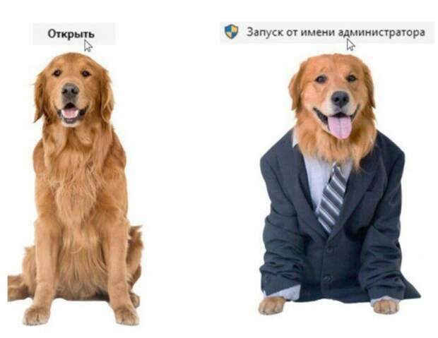 Воскресная деградация Воскресная деградация