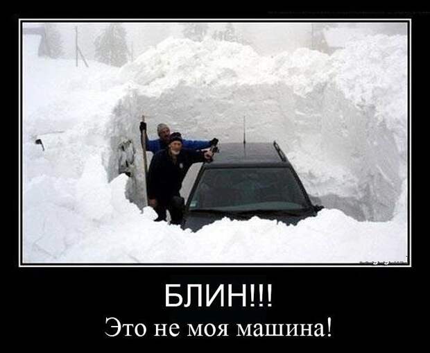 Собачий холод! Поймет тот, кто водит зимой  зима, прикол, снег, юмор