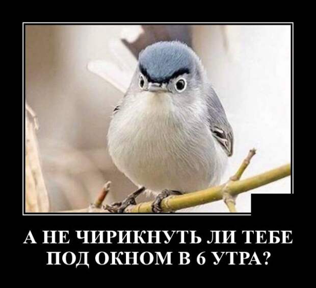 Демотиваторы (30 фото)