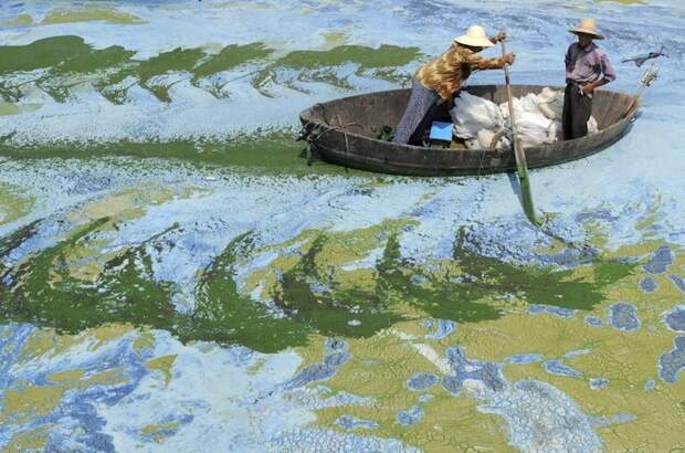 8. Загрязненное озеро, Китай иллюзия, картинка, рисунок, снимок, фото
