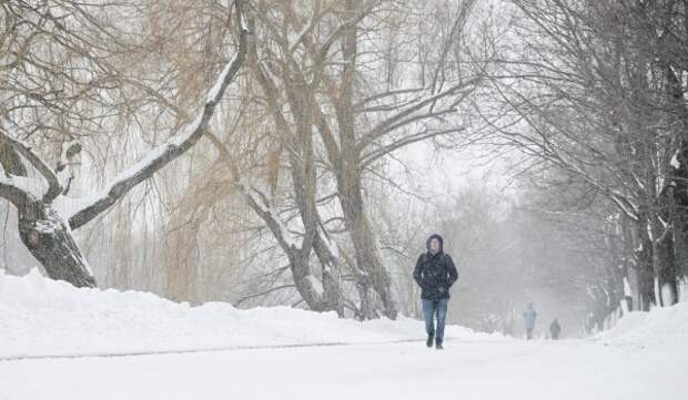 Облачная погода и до 4 градусов мороза ожидаются в Москве 20 января