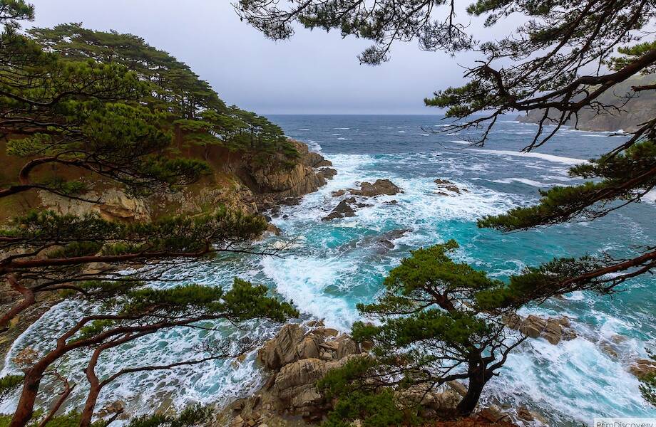 Мальдивы Приморья: 4 пляжа с белым песком и лазурной водой недалеко от Владивостока Мальдивы Приморья: 4 пляжа с белым песком и лазурной водой недалеко от Владивостока
