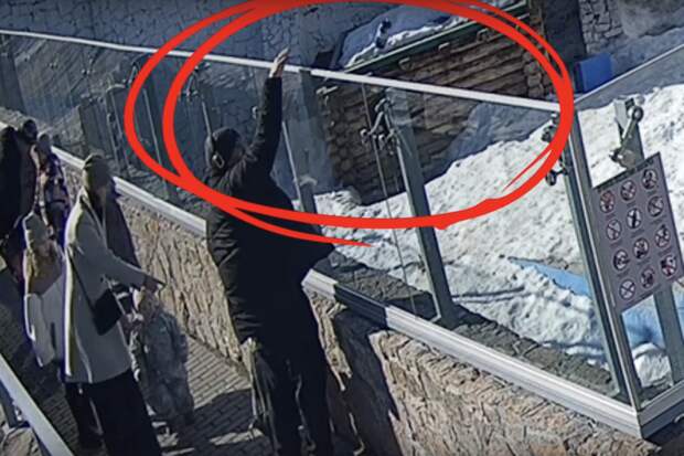 В челябинском зоопарке мужчина накормил медведя колбасой