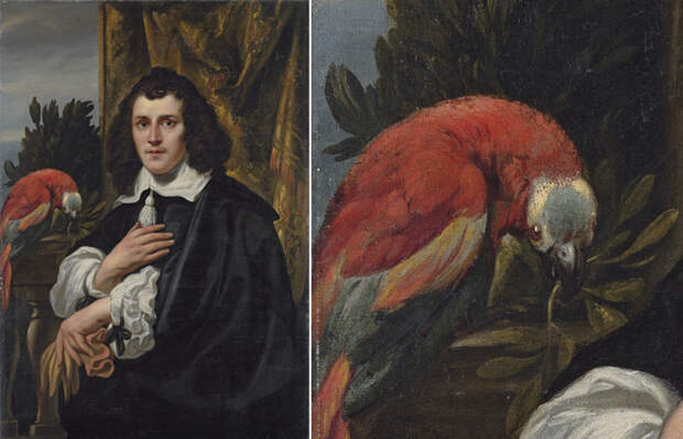 Якоб Йорданс «Портрет молодого человека с попугаем» (1656)