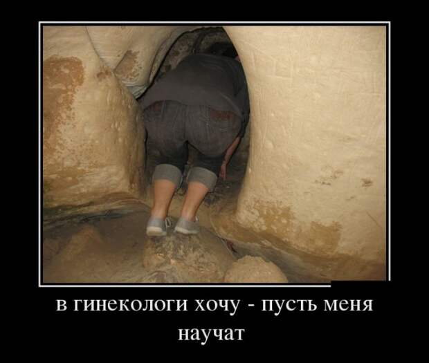 Демотиваторы - 931