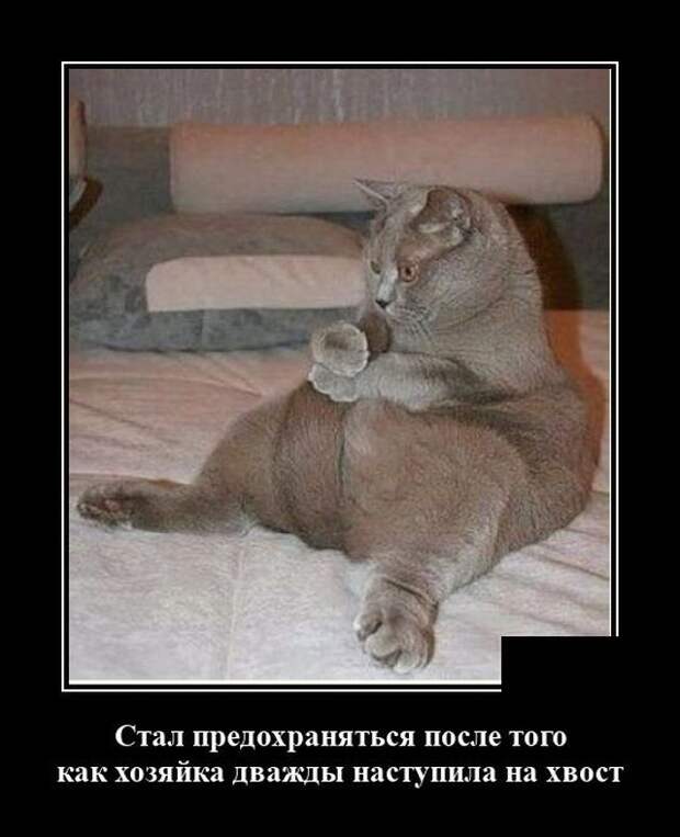demotivatory-demotivator-smeshnye-demotivatory-demotivator-so-smyslom