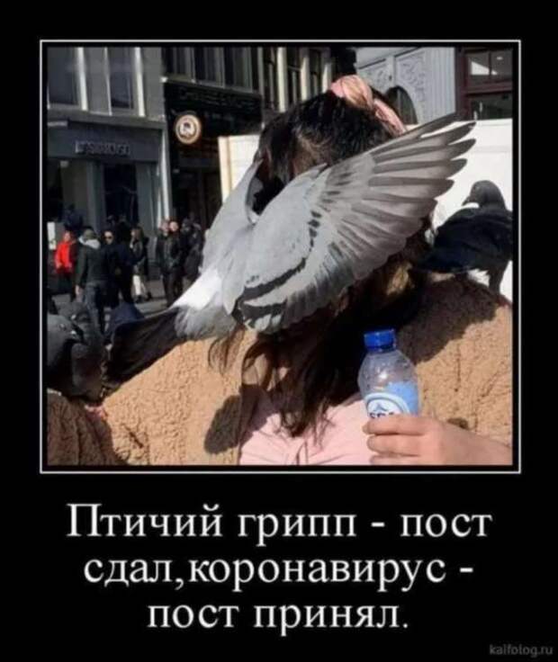 Демотиваторы про коронавирус с надписями. Подборка chert-poberi-dem-koronavirus-chert-poberi-dem-koronavirus-53190208062020-6 картинка chert-poberi-dem-koronavirus-53190208062020-6