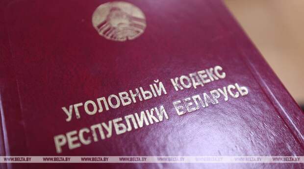 Могилевский предприниматель скрыл от государства более Br820 тыс. выручки.