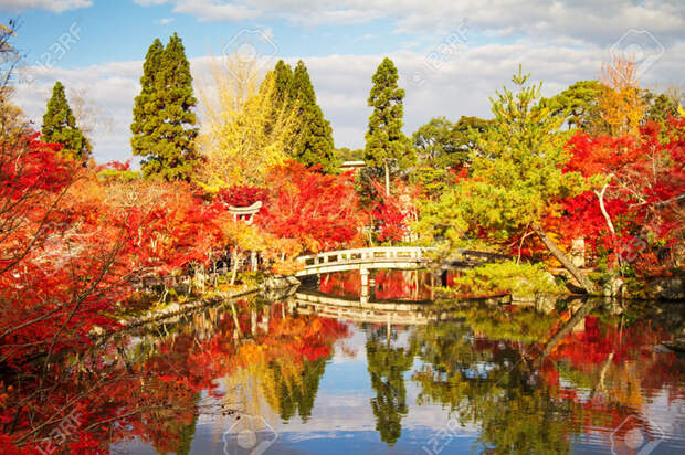 29088457-Kyoto-Japan-November-26-2013-Autumn-Japanese-garden-with-maple-Stock-Photo (800x566, 607Kb)