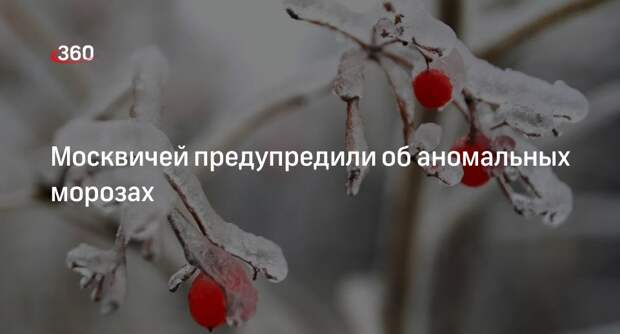 Синоптик Вильфанд: аномальные морозы без снегопадов ожидаются в Москве