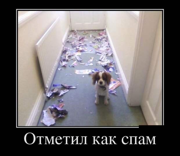 Свежие демотиваторы на утро (11 фото) Свежие демотиваторы на утро (11 фото)