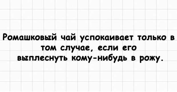 Надолго запоминающийся замечательный юмор