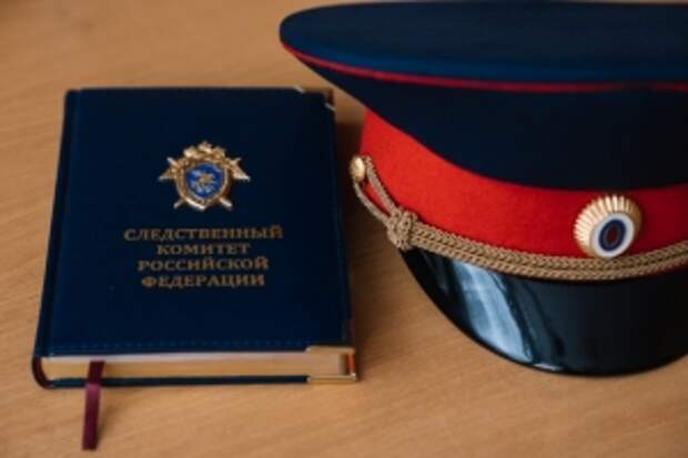 Главе ведомства будет доложено о расследовании нескольких фактов травмирования граждан в результате схода снега и наледи с кровли зданий в Свердловской области