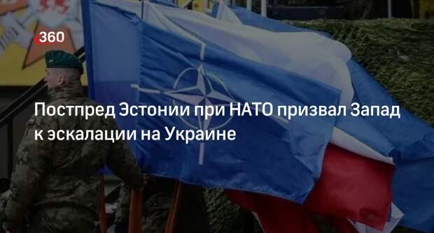 Постпред Эстонии при НАТО Луйк: нужна эскалация конфликта на Украине