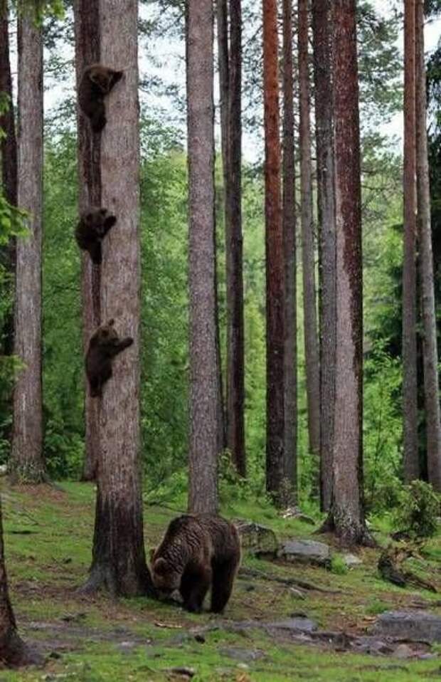 Прикольные картинки Прикольные картинки