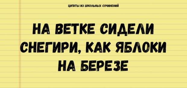 Цитаты из школьных сочинений, которые стоит сохранить для потомков