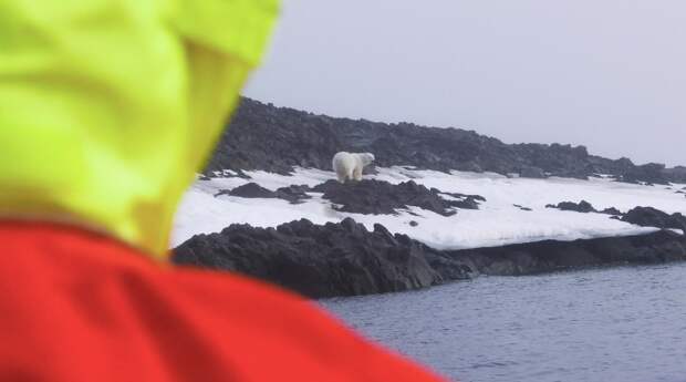 Что сейчас происходит в труднодоступных районах Арктики – увидел фотограф русского National Geographic