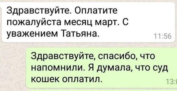 SДурацкая автозамена 15 досадных и смешных ошибок сделанных по вине Т9