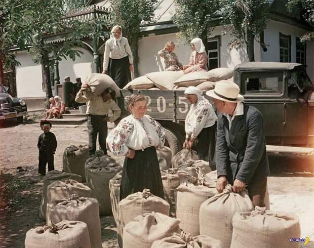СССР 1950-60 СССР 1950-60