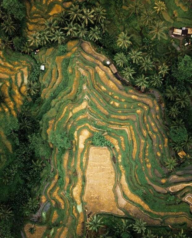 Чудесные фото Азии с высоты птичьего полета